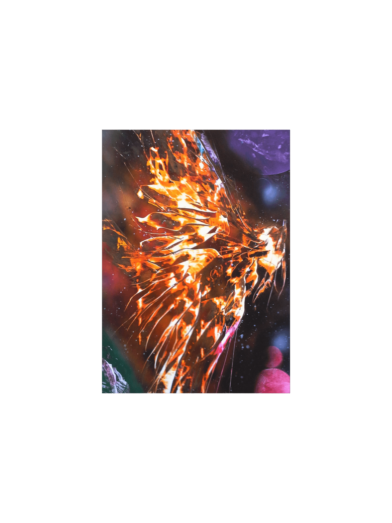 Phoenix Rising - Print product image (1)