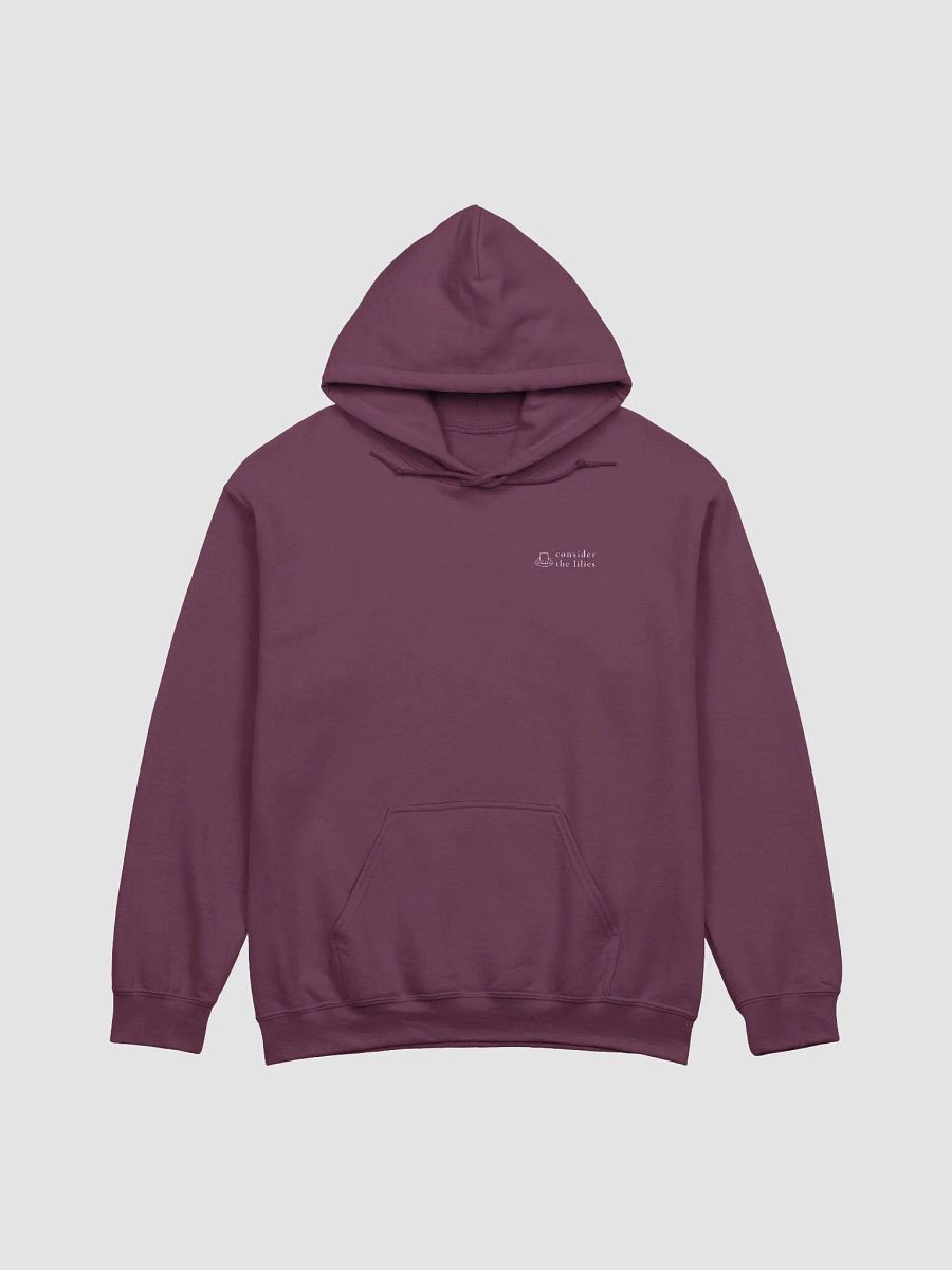Find Some One Who Needs Lifting Up Maroon Hoodie product image (4)