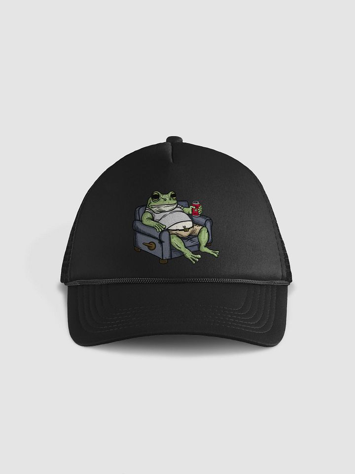 Frog on a Couch product image (1)