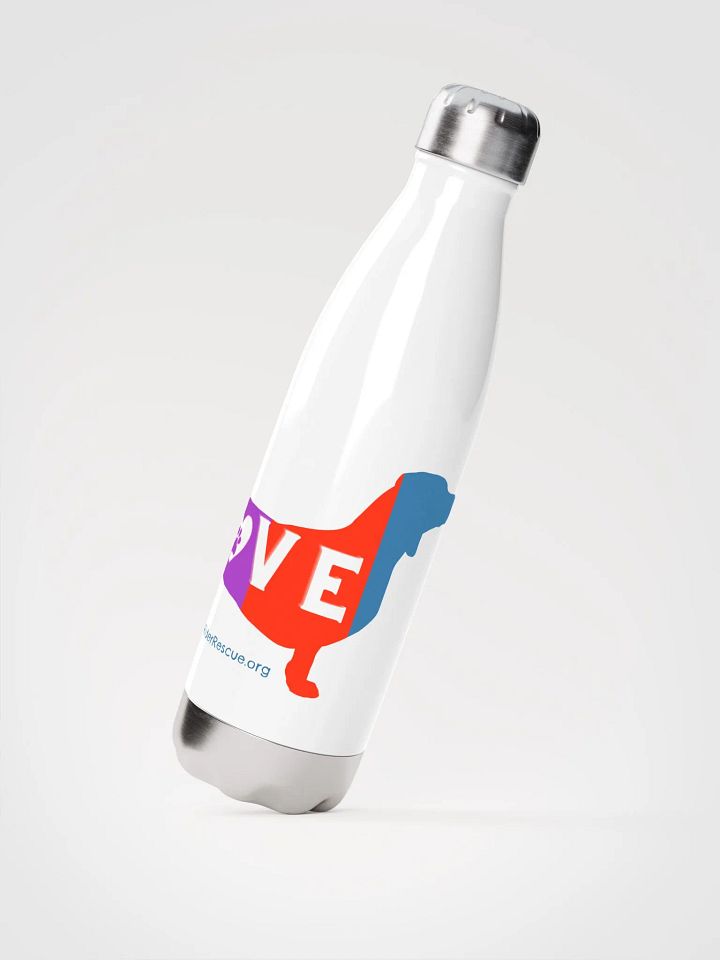 LOVE Dachshunds - colorful stainless steel water bottle product image (2)