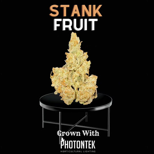 @photontek_lighting did excellent with the stank fruit