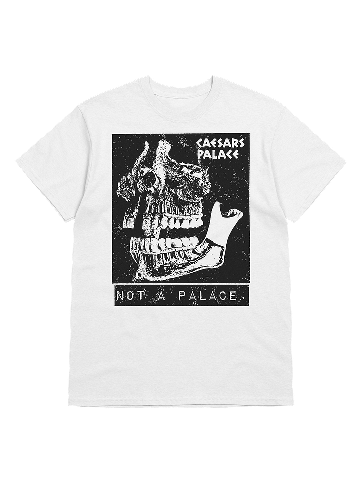 NO PALACE product image (1)