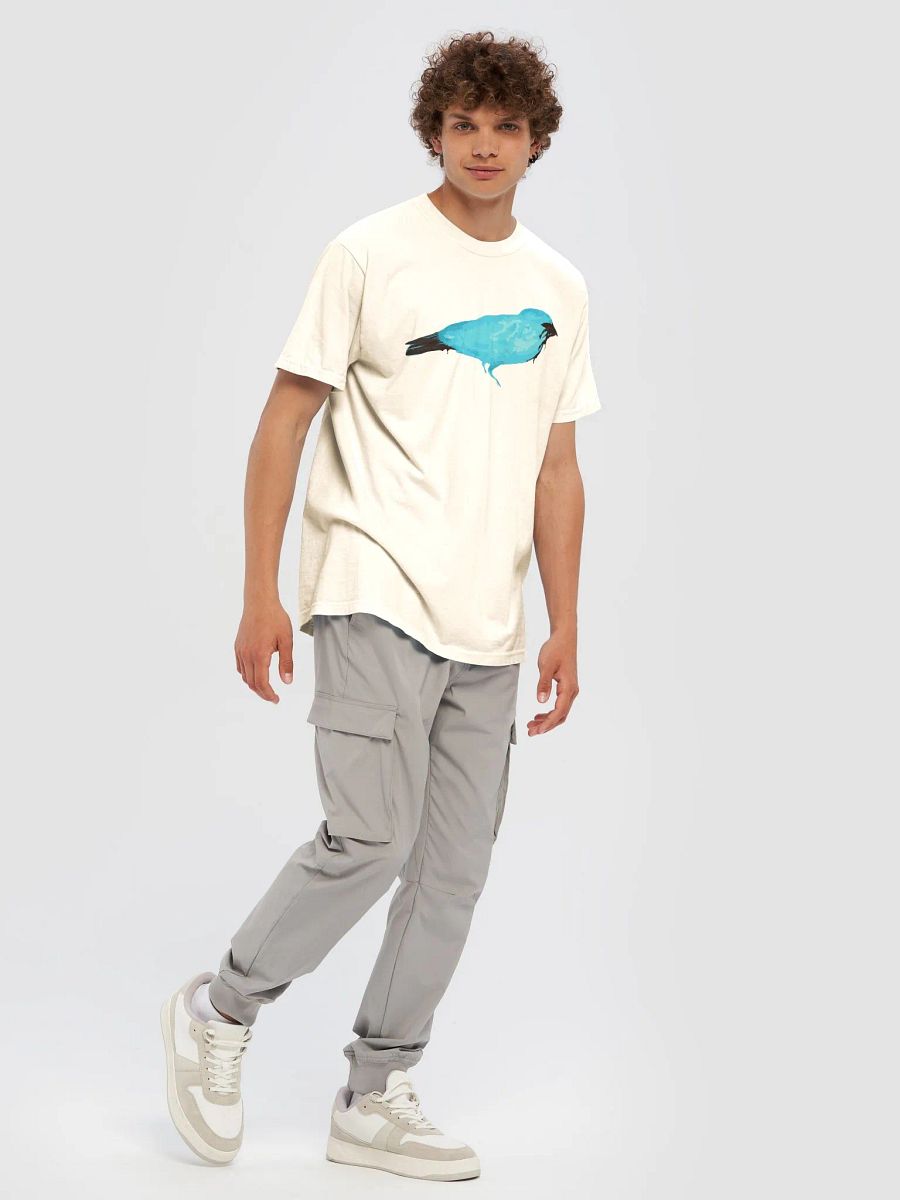 Birdz Series #2 product image (7)