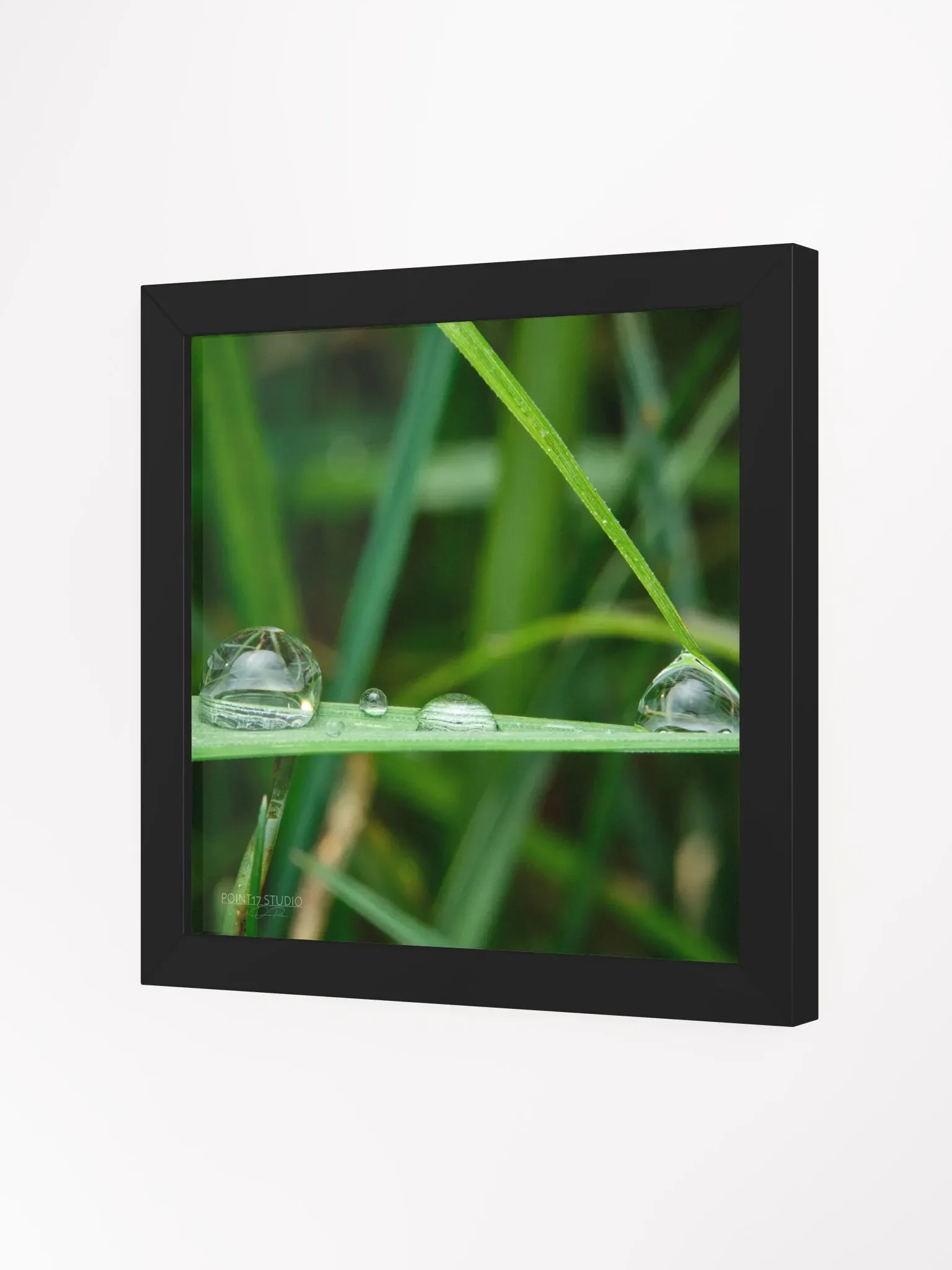 Dew Gems #12 - Framed Print product image (2)