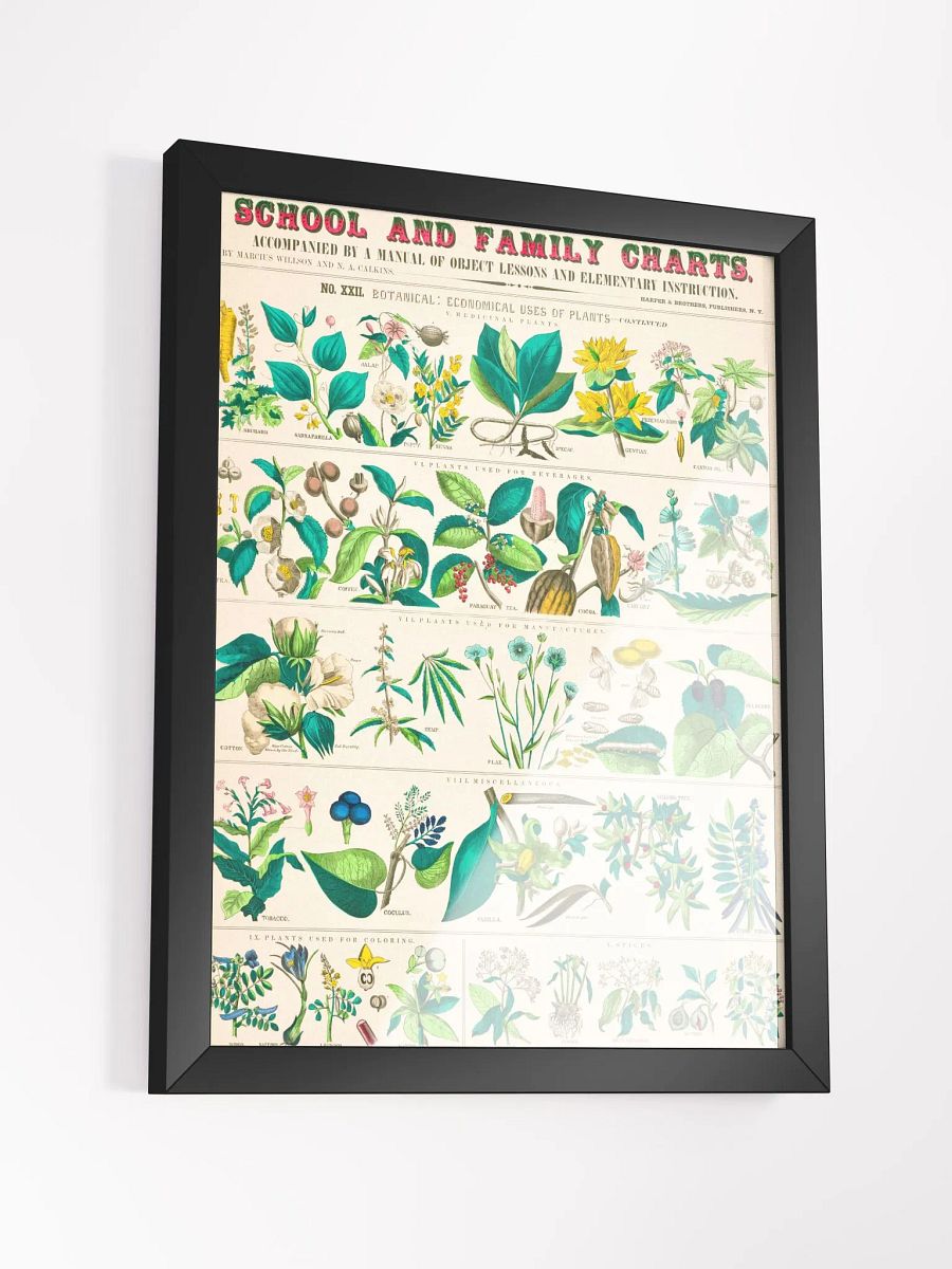 Botanical Uses Framed Art Print product image (17)