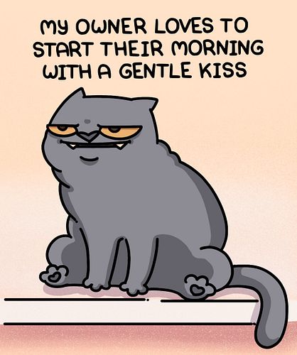 Ahhhm, the ever so elegant queen Zuzya is known for many things: poise, grace and...a total lack of personal boundaries. 😾👑
#...