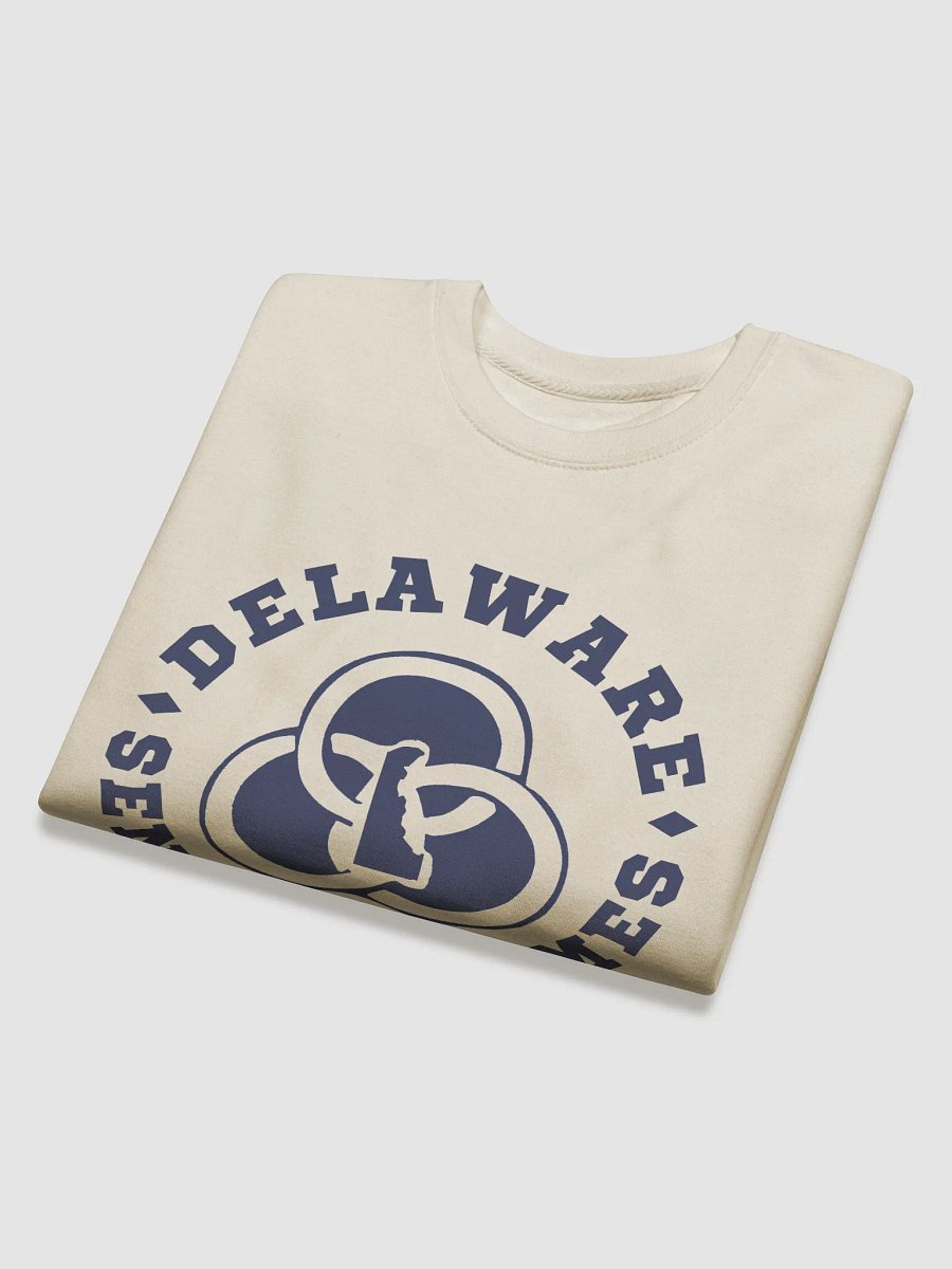 DSG Crew Neck Sweatshirt product image (4)