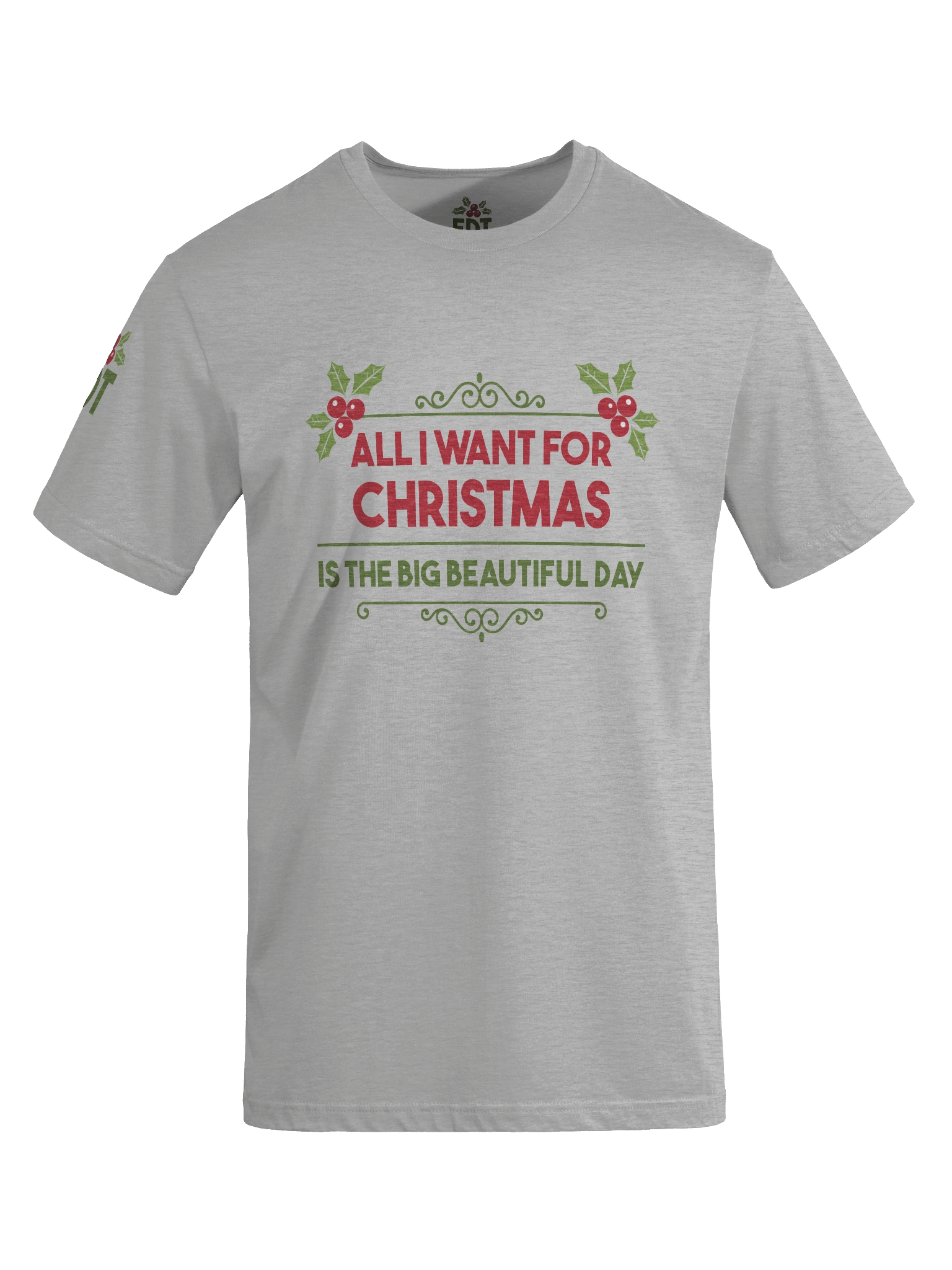 All I Want for Christmas Is... Tee | Brand Next Level product image (8)