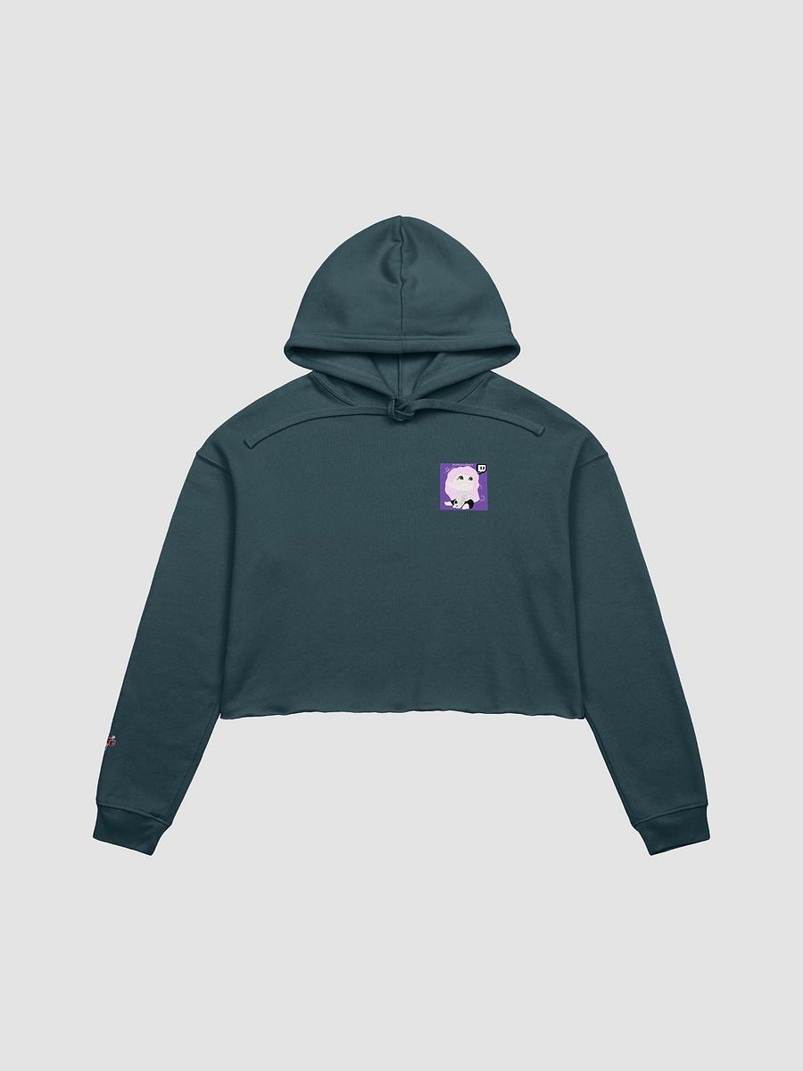 Bobeans Cropped Hoodie product image (4)