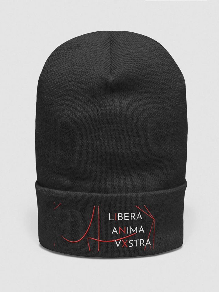 InX Beanie product image (31)