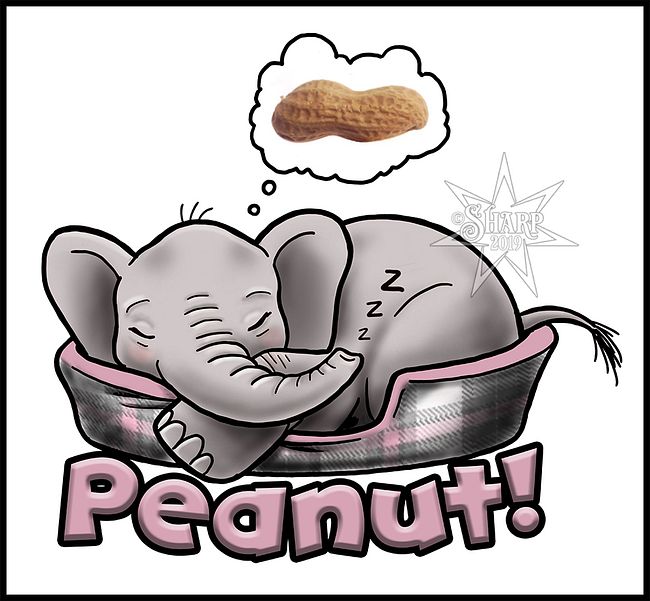 Sleepy Peanut