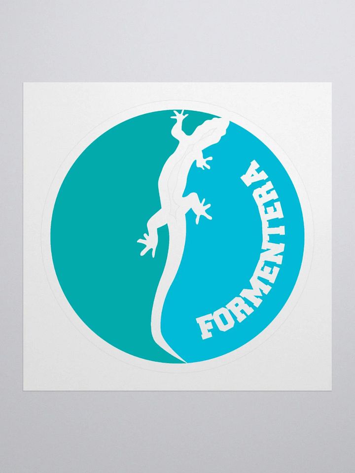 Formentera Lizard Art Sticker product image (1)
