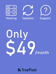 Hosting, Updates & Ongoing Support