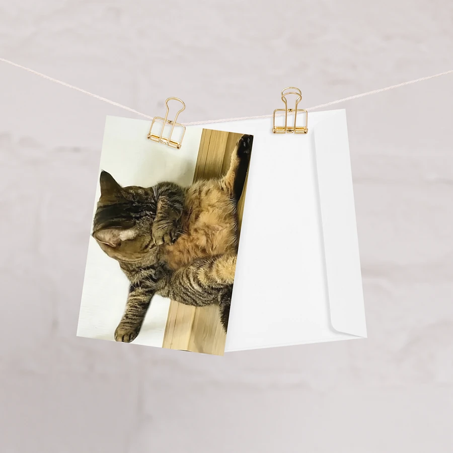 Greeting Card: Meme Cats product image (28)