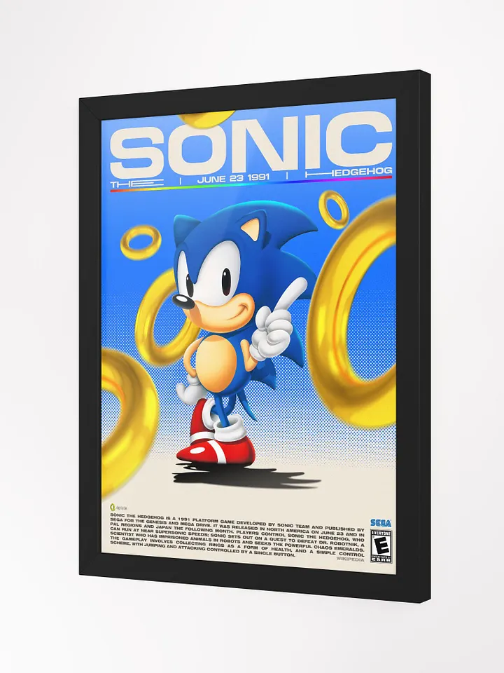 SONIC THE HEDGEHOG FRAME product image (2)
