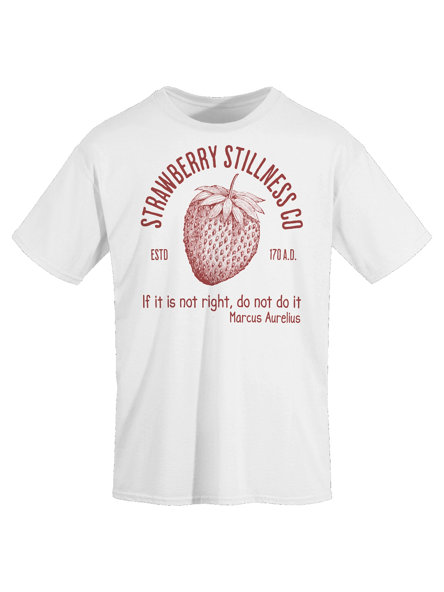 STOIC STRAWBERRY TSHIRT product image (6)