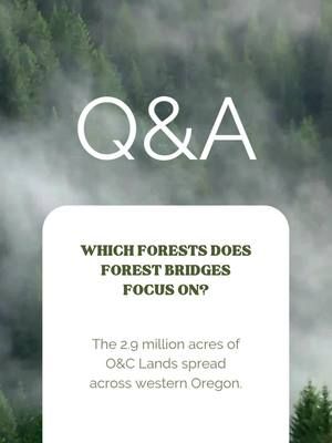 Which forests Does Forest Bridges focus on?  The 2.9 million acres of O&C Lands spread across western Oregon.  #oandclands #oregonforests #publiclands #nationalforests #yb2f