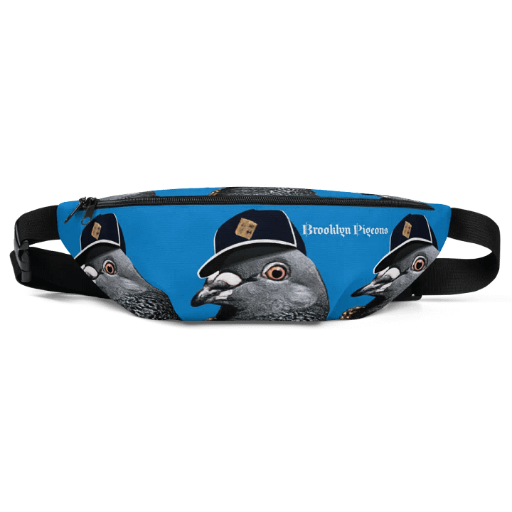 BIGGY Fanny Pack (BLUE) product image (1)