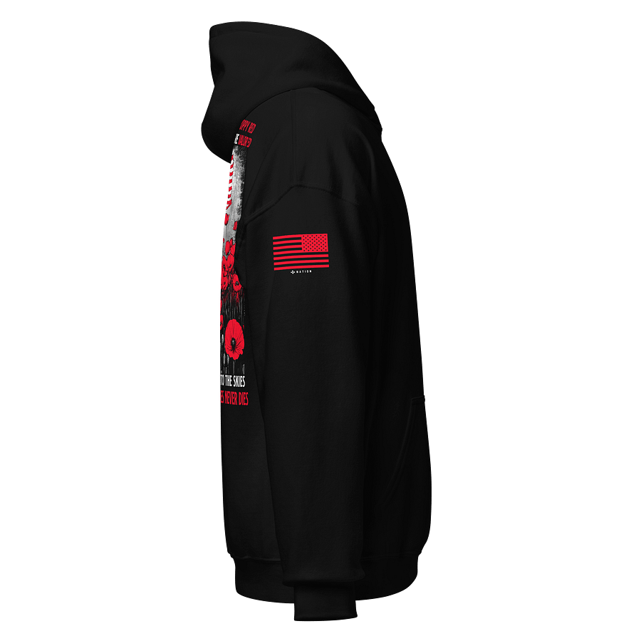 Blood of Heroes Hoodie product image (2)