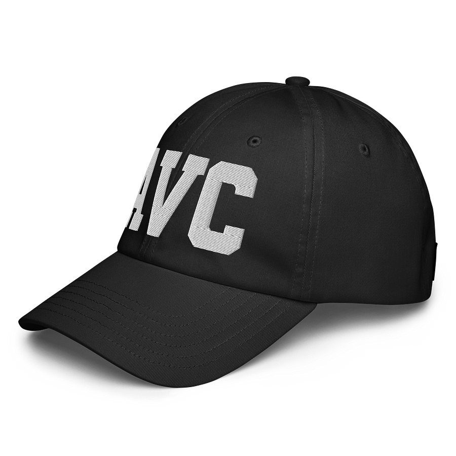 AVC Dad Hat by Under Armor product image (2)
