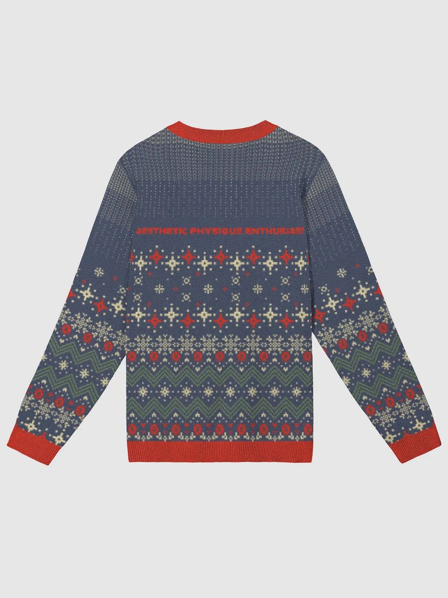 APEvolution Holiday Ugly Sweater [Mens] product image (7)