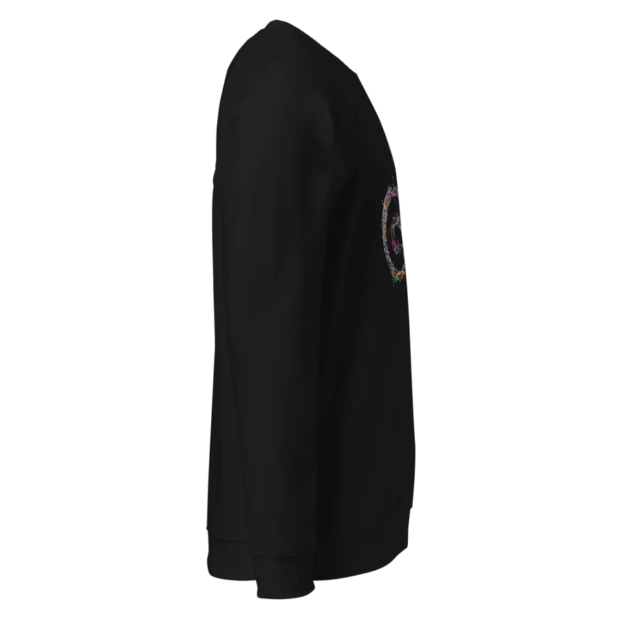 Triskelion Kaleidoscope Sweatshirt product image (4)