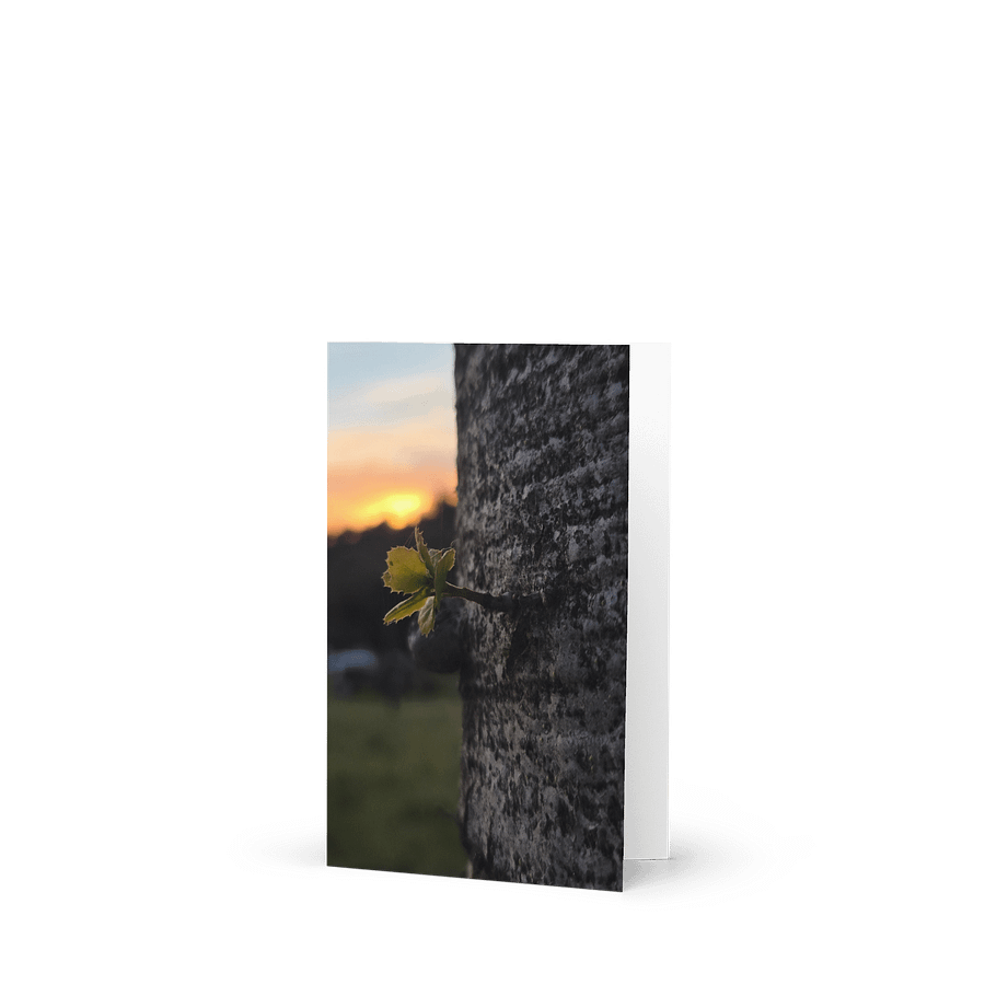 Sunset Oak Sprout Greeting Card product image (1)