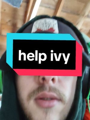 if you're able to help Ivy either by donating or buying her gifts directly. it would mean the world to me. for this account, link tree in bio has all of my links (except cashapp $StealthyR). I'll update whenever i do hit the goal and get the shots and everything. also there's a video of her on Instagram if you want to see! | #cat #catlover #catsoftiktok #cattok 