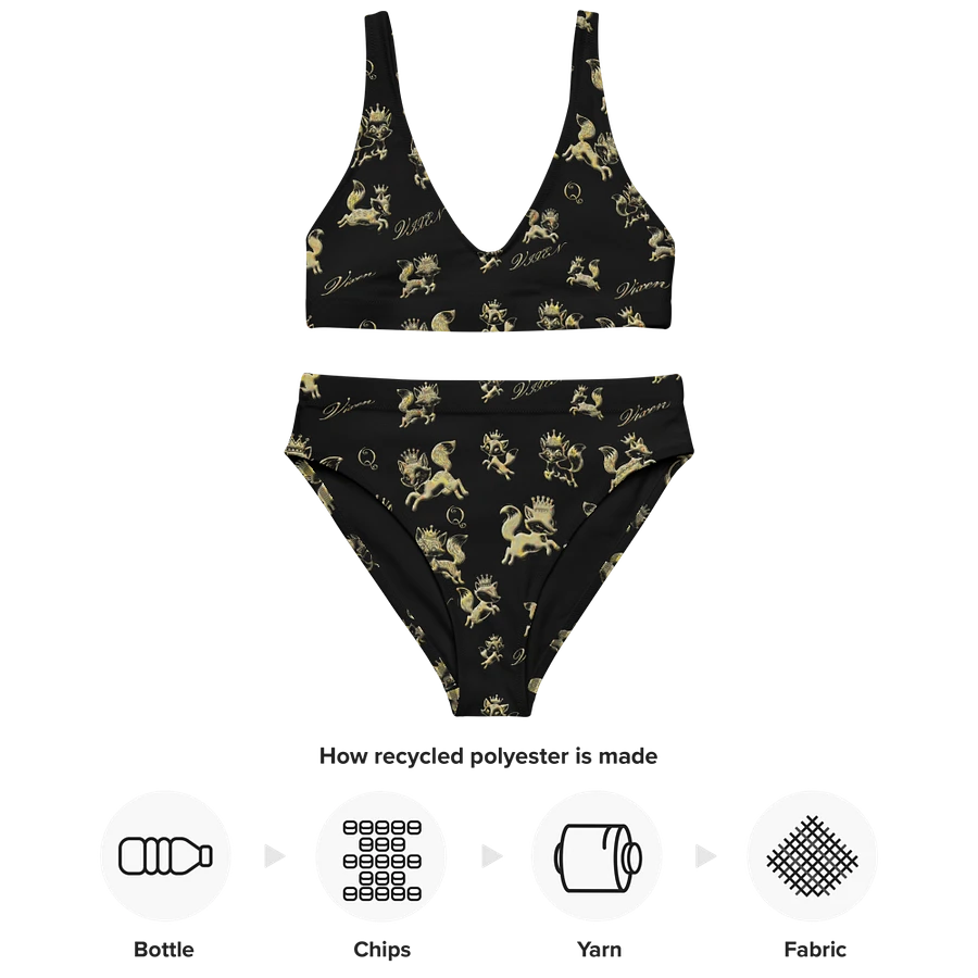 Vixen Queen Golden Vixen High Wasted black Bikini product image (14)