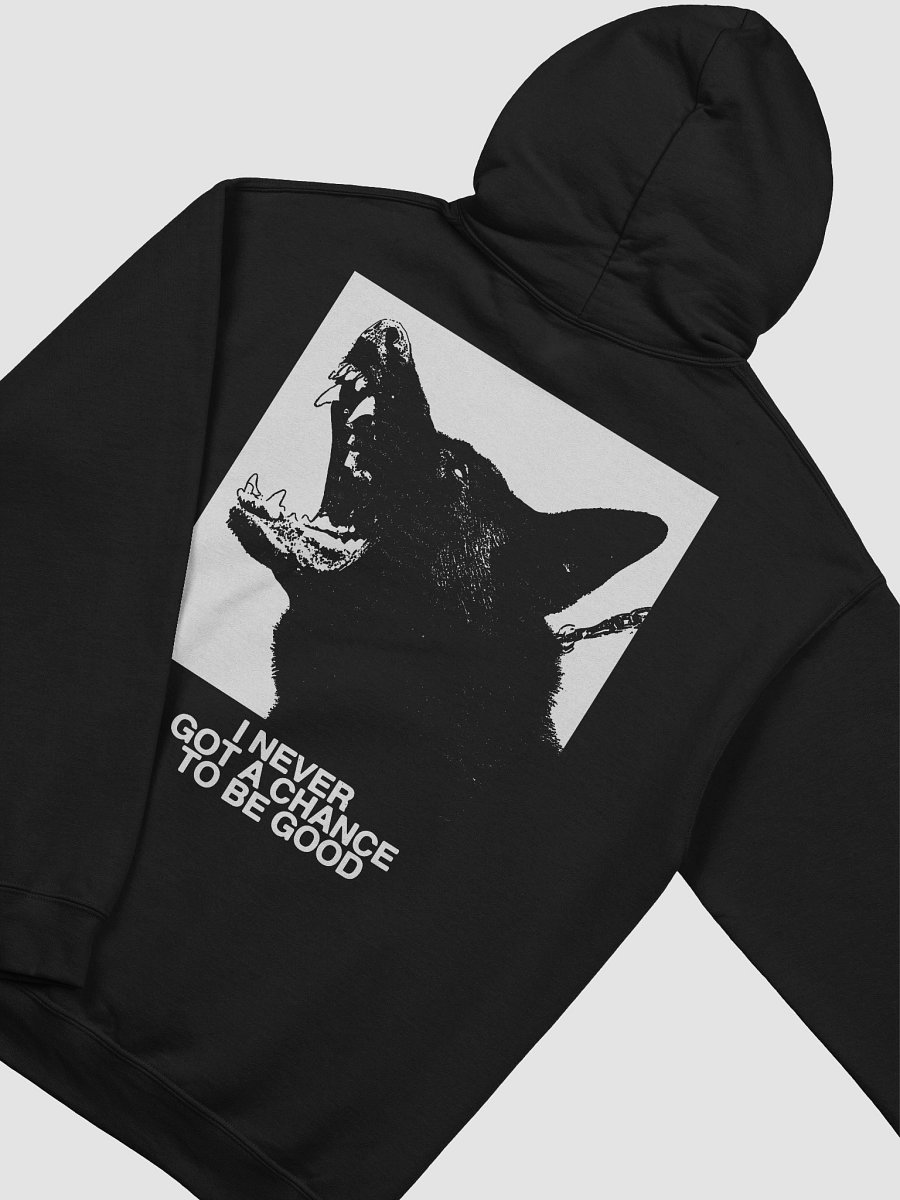 CHANCE - Hoodie product image (4)