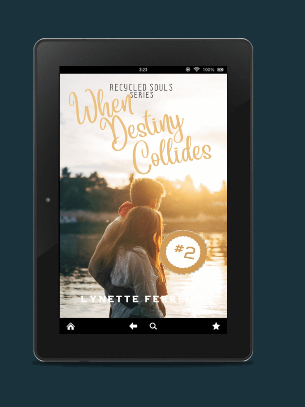 When Destiny Collides (Recycled Souls #2) product image (1)