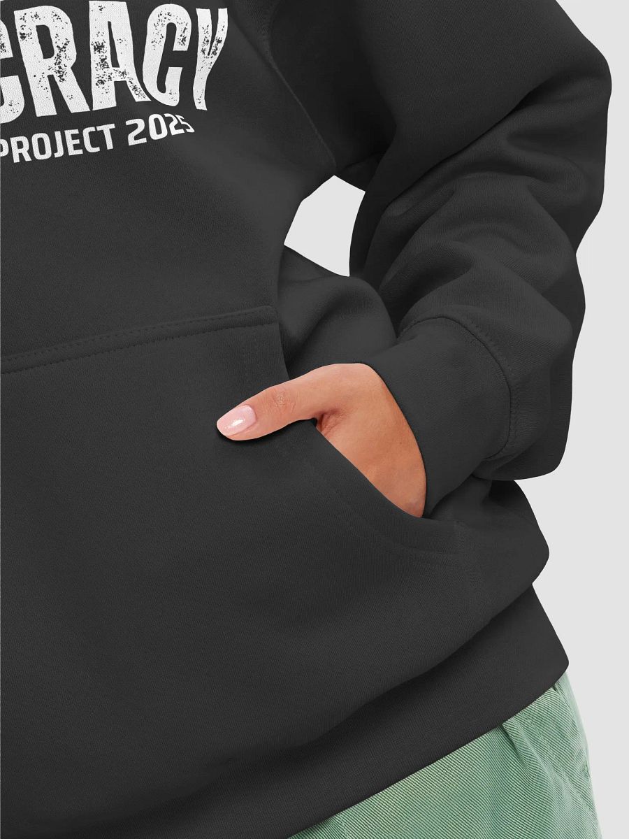 Pris-Vote For Democracy -Lane Seven Premium Pullover Hoodie product image (36)