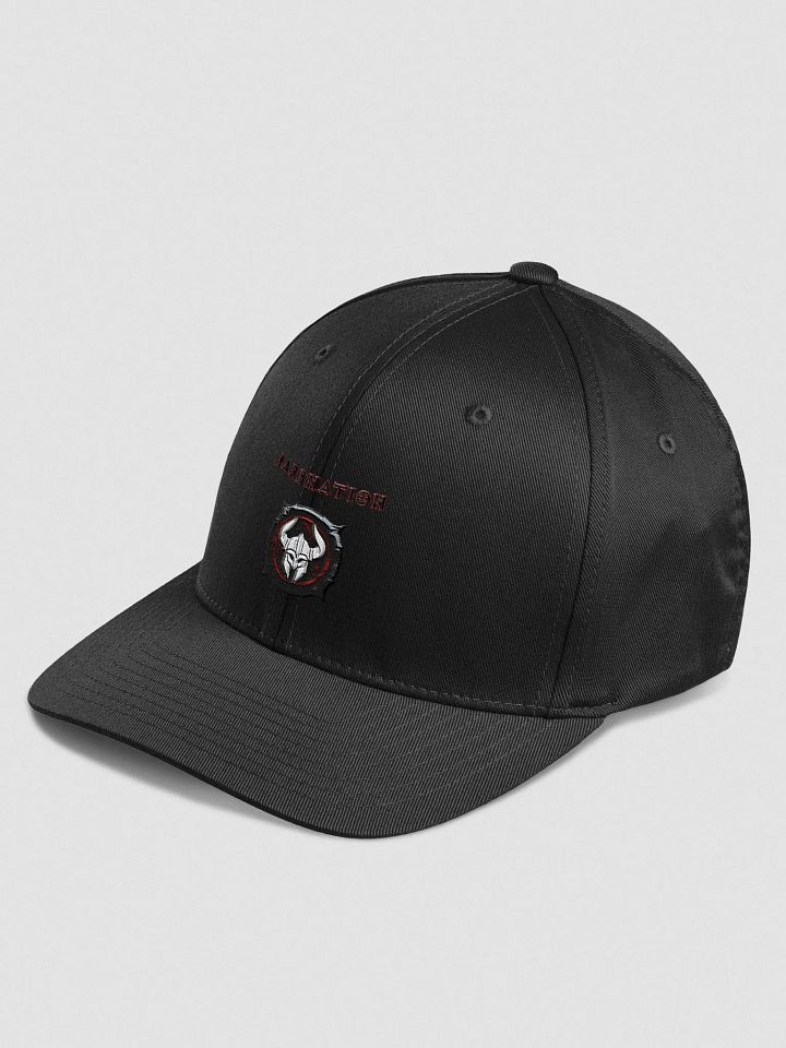 Barbnation embroidered hat product image (18)
