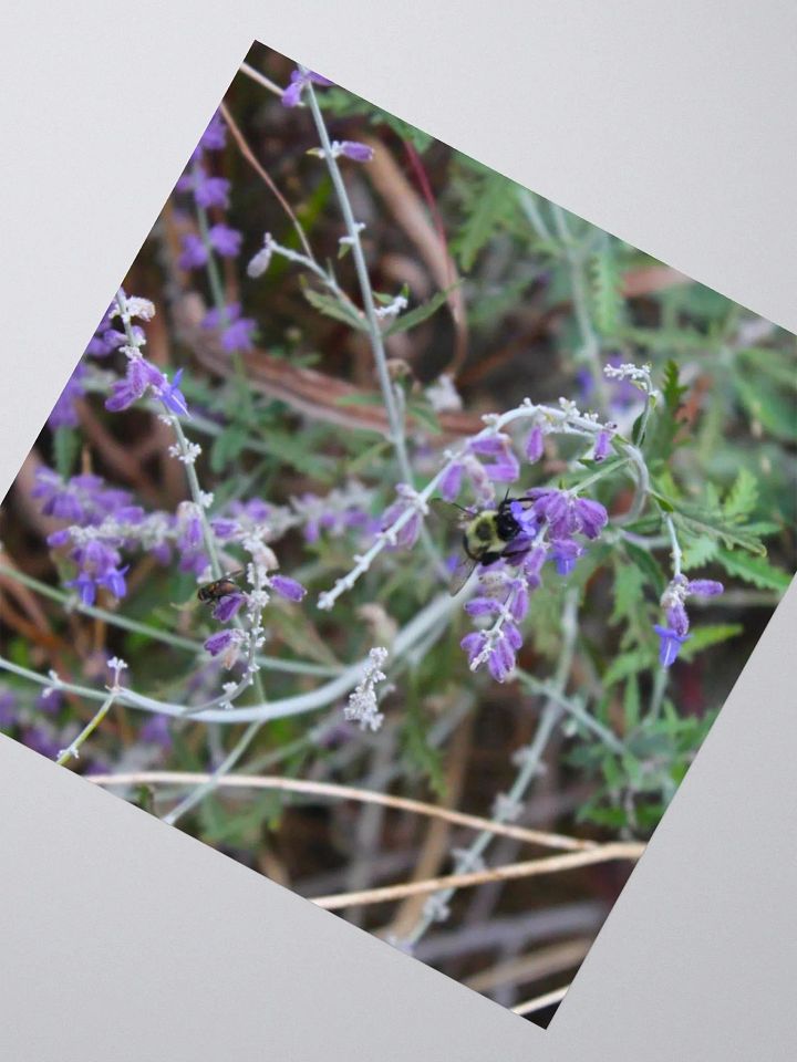 A Study in Flowers 4 - sticker version product image (8)