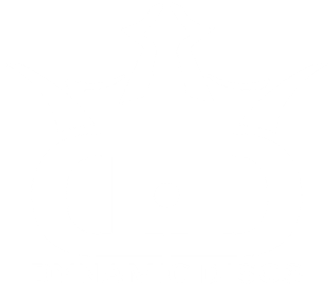 Dynamic Discs