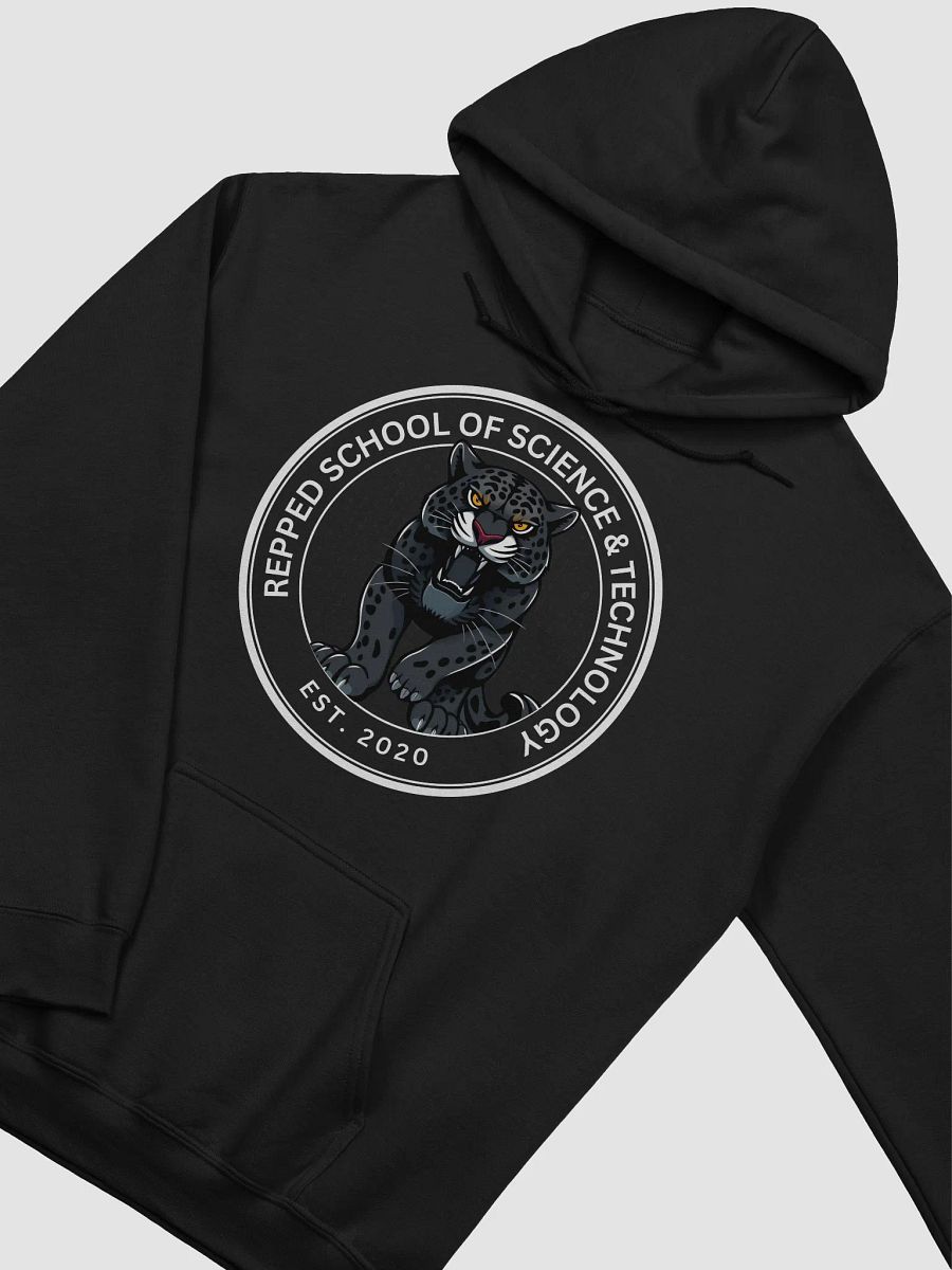 RS Hoodie product image (2)