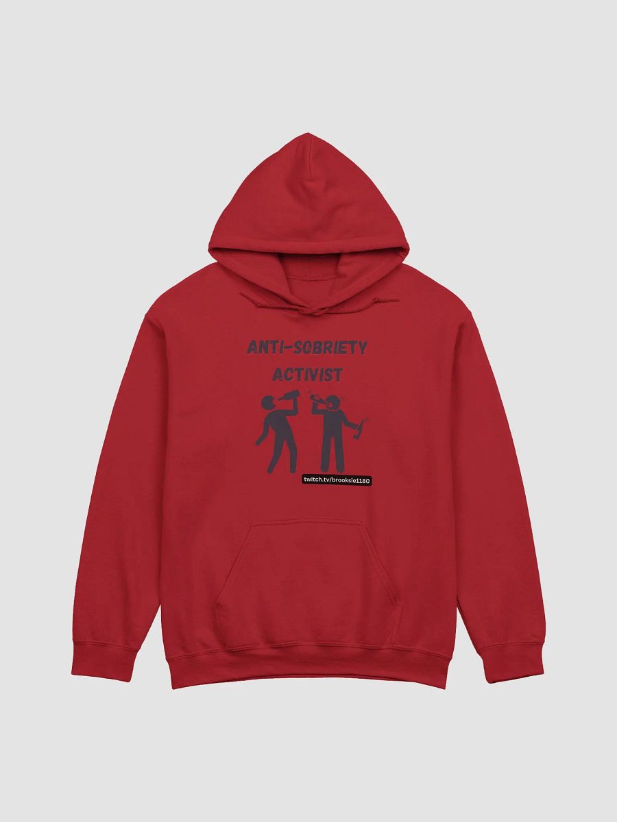 Anti Sobriety Hoodie product image (3)