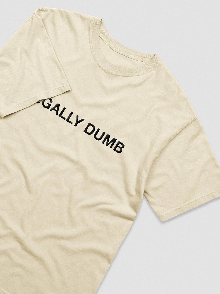 'Legally Dumb' Embroidered Tee product image (80)
