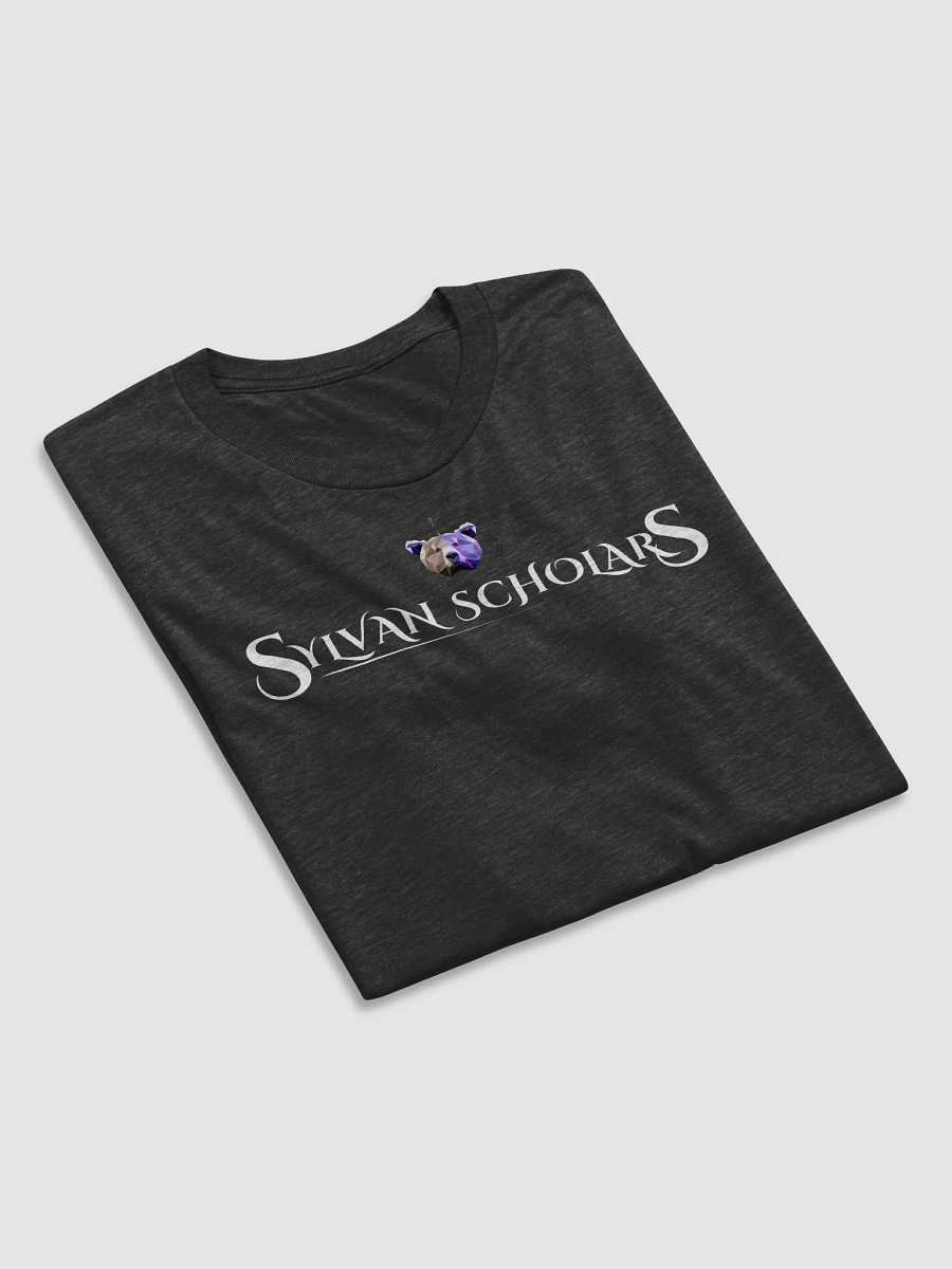 SylvanScholars Premium T product image (12)