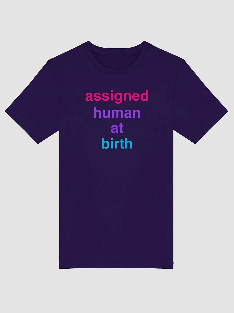 assigned human at birth androgyne t-shirt product image (1)