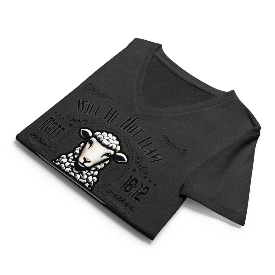 The One Found Sheep Vintage V-Neck Tee product image (12)