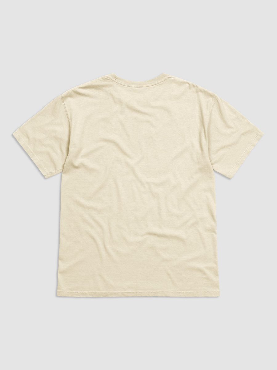 Nervous Systems Raccoons Graphic Tee product image (4)