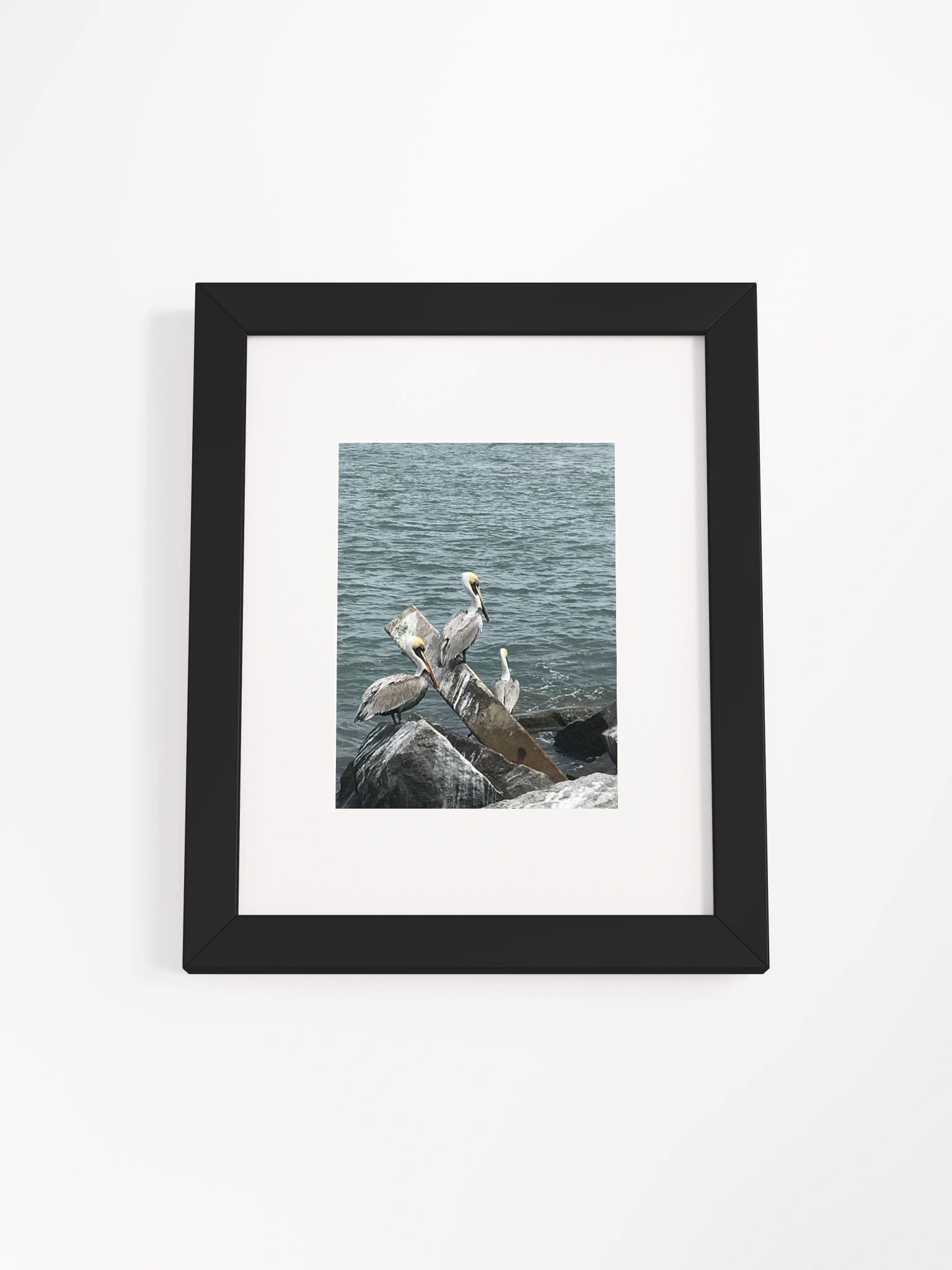 Coastal Avian Symphony Framed Poster product image (4)