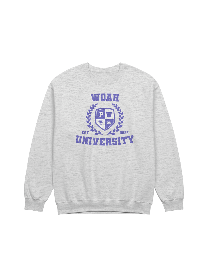 WOAH UNIVERSITY SWEATSHIRT product image (1)