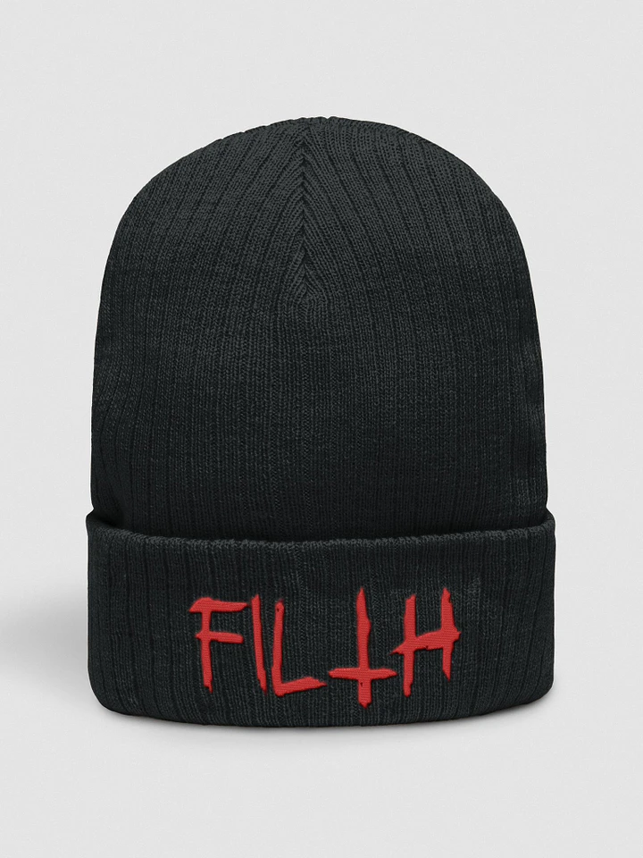Filth Beanie product image (1)