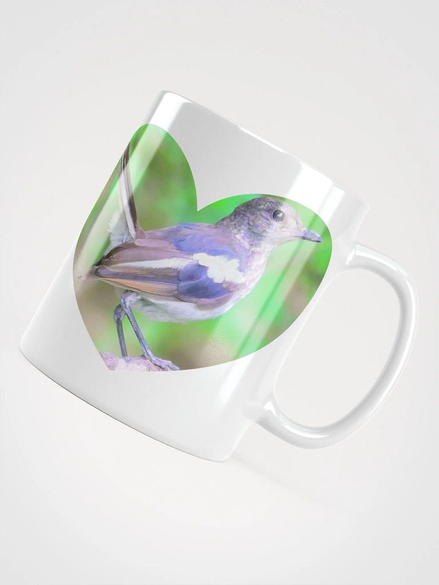 IUCAA Birds WHITE MUG product image (11)