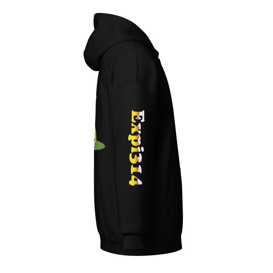 Expi Zip Up Hoodie product image (7)
