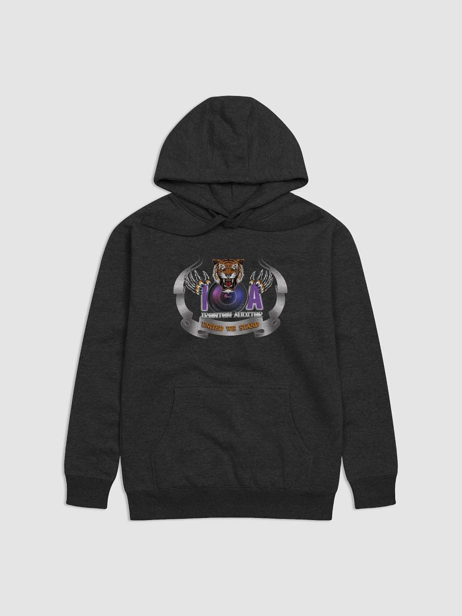 IA Hoodie product image (3)