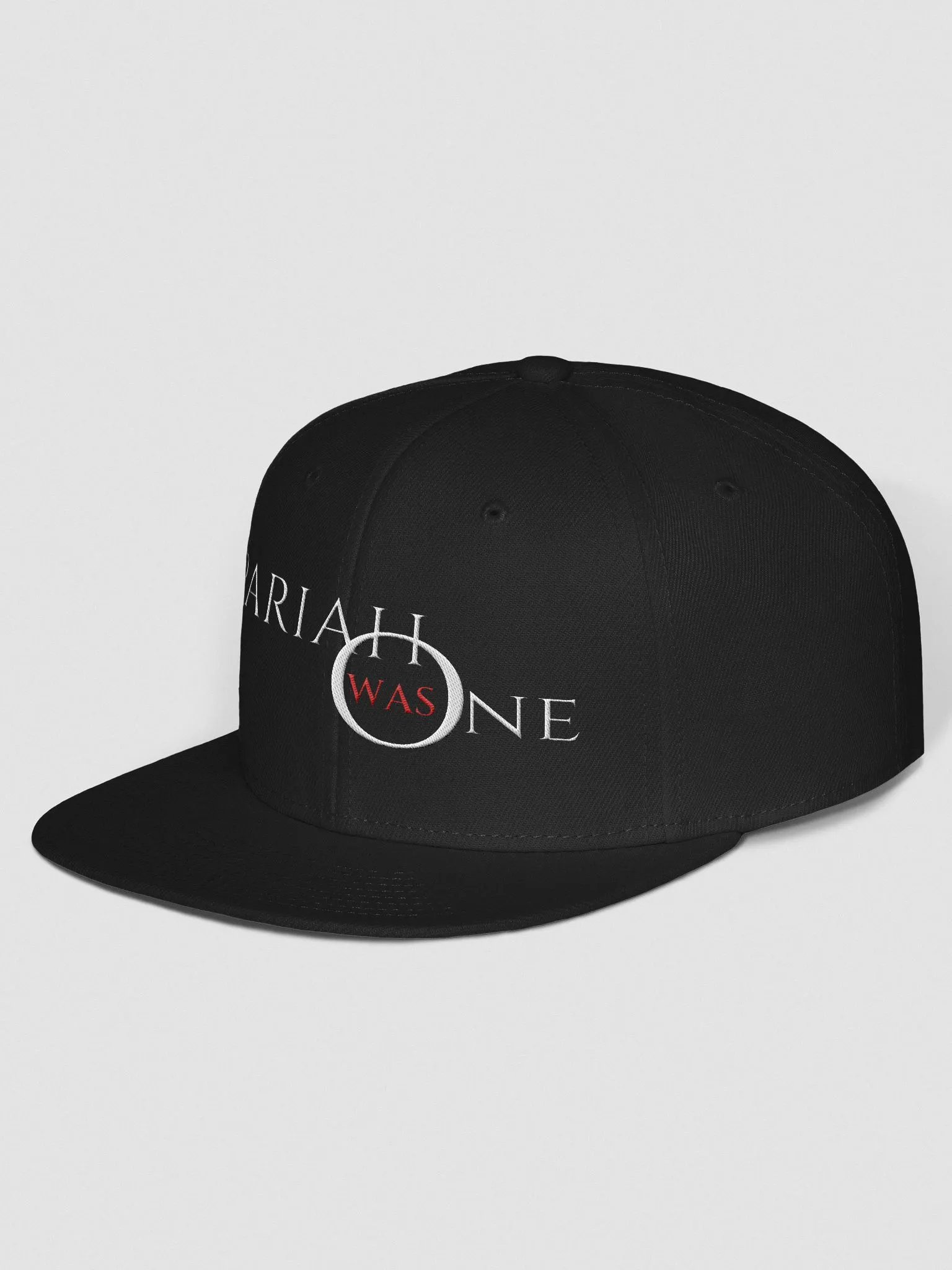 Logo Snapback product image (6)