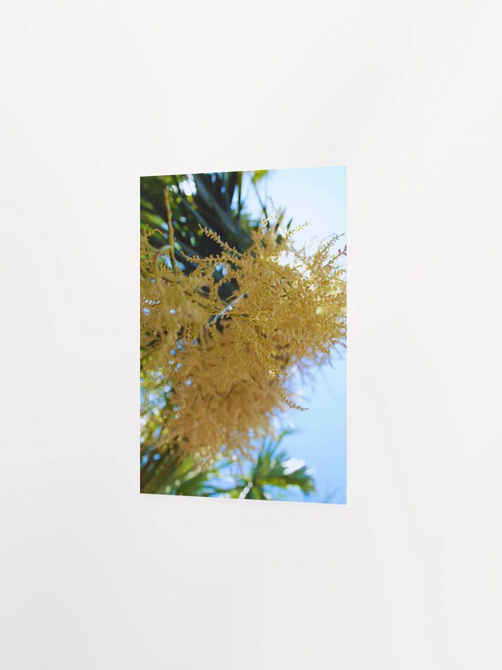 To Be Tiny product image (13)